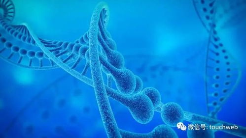 加立生物沖刺港股 9個月虧損4433萬，林帝邦為大股東，生物技術(shù)開發(fā)成焦點